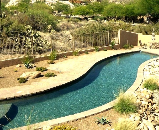Natural Pool in Phoenix