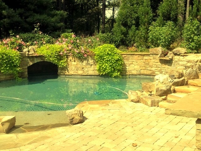 Pool Natural in Atlanta
